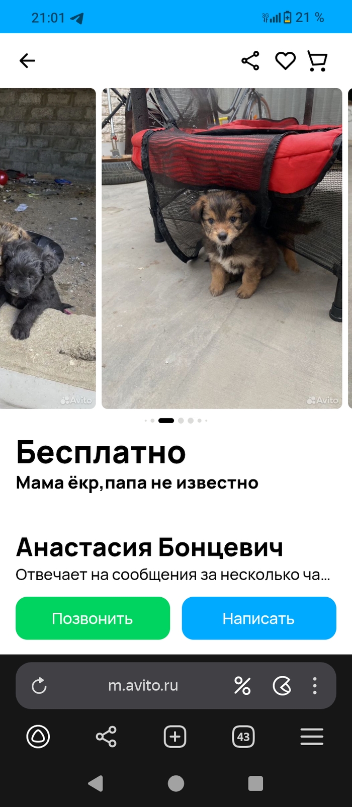 Авито avito ru бесплатные объявления москва