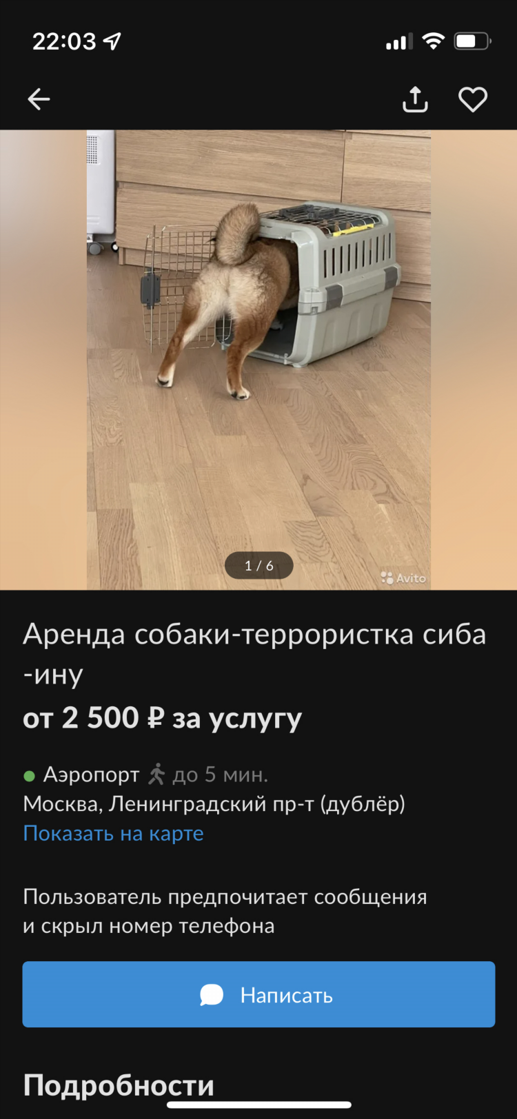 Авито объявления аренда