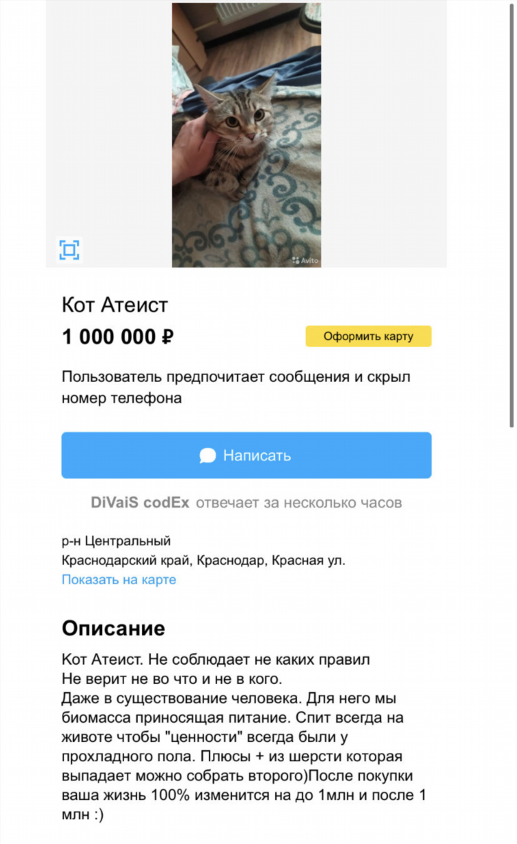 Авито сочи подать объявление бесплатно