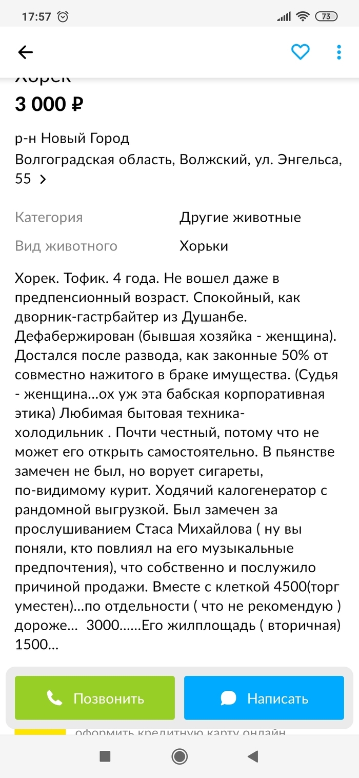 Авито волгоградская область доска бесплатных объявлений животные