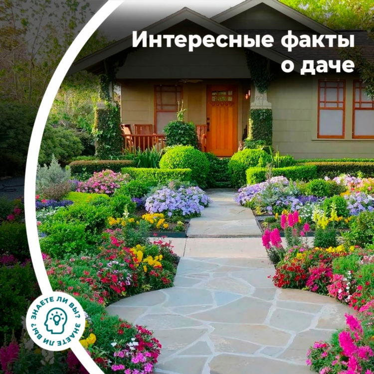 Дачи вологда купить недорого свежие объявления