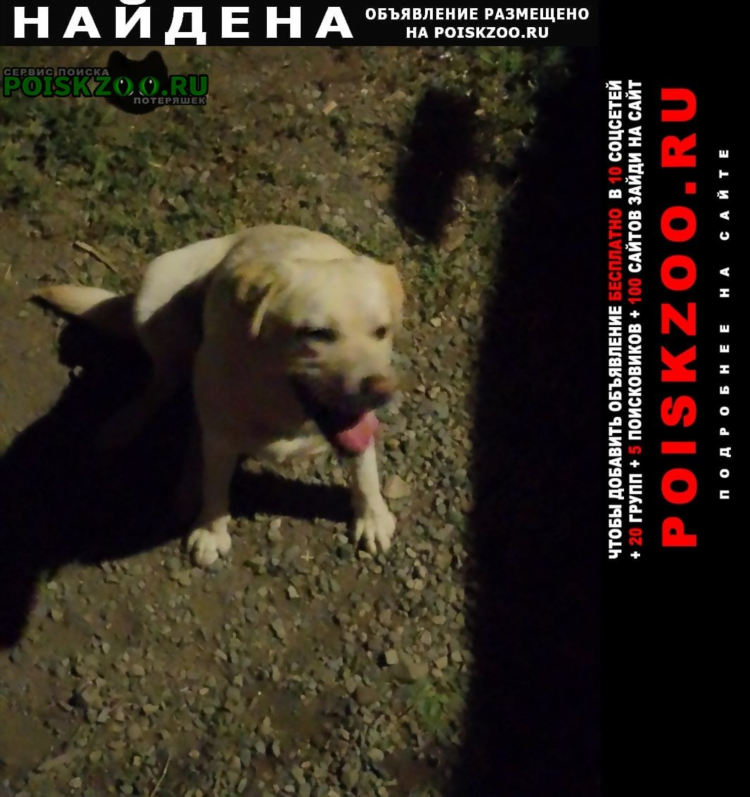 Доска бесплатных объявлений чита
