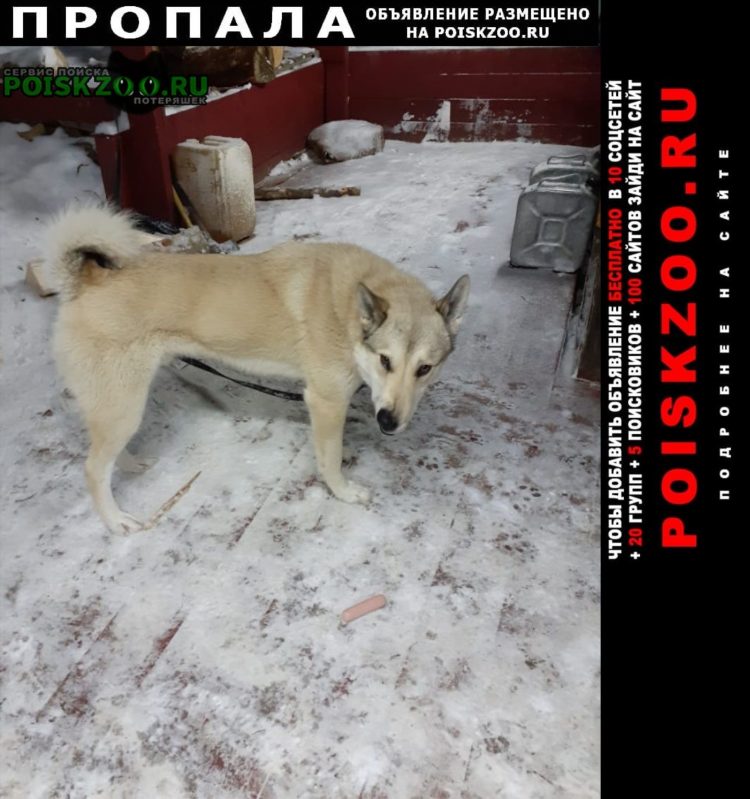 Доска объявлений кабеля бесплатно