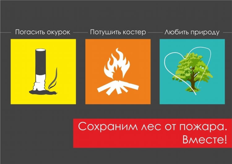 Доска объявлений круглый лес