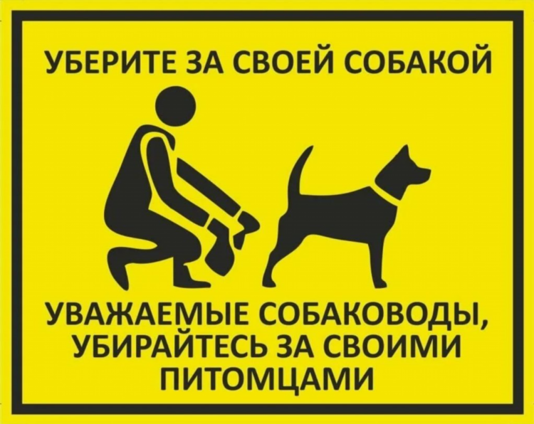 Доска объявлений потерянных животных москва
