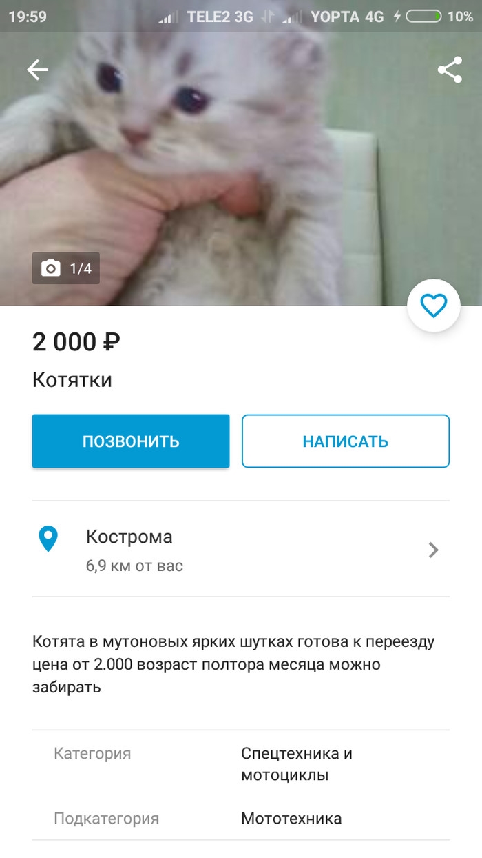 Юла кострома бесплатные объявления