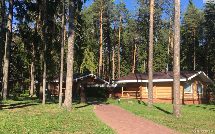 Купить дачу в нижегородской области борский район свежие объявления авито
