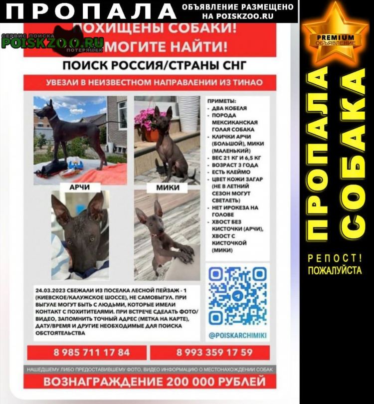 Найдена карта объявление