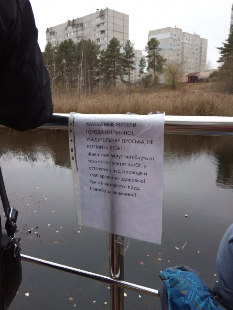 Объявление в парке