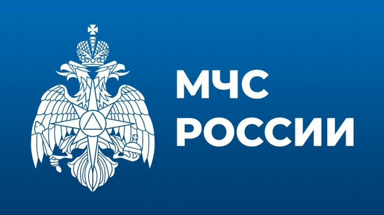 Объявления ольгинский район