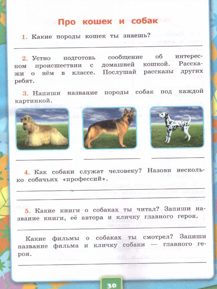 Пропала кошка объявление 3 класс