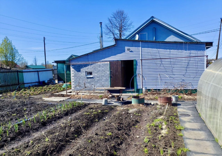 Шахунья купи продай объявления