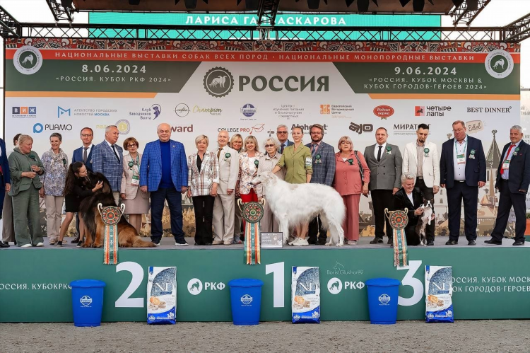 Собаки в дар в ярославле свежие объявления