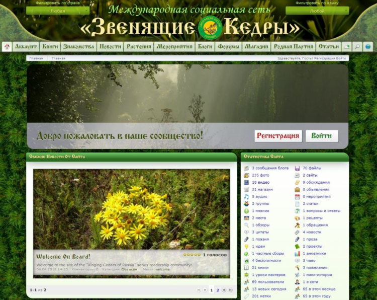 Социальная сеть и доска объявлений