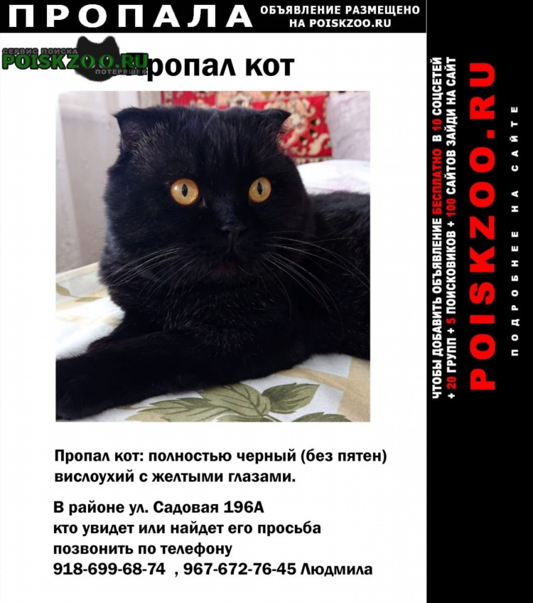 Свежие объявления доска бесплатных объявлений
