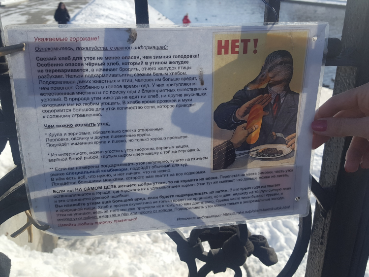 Уточка доска объявлений